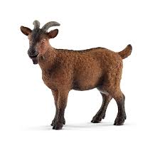 Amazon.com: Schleich Farm World, Realistic Farm Animal Toys for Kids Ages 3  and Above, Goat Toy Figurine : Schleich: Everything Else