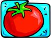 Description: tomato3.jpg