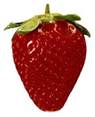 Description: strawberry