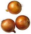 Description: onion.jpg