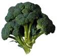 Description: broccoli.jpg