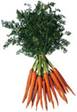 Description: carrots.jpg