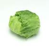 Description: lettuce.jpg