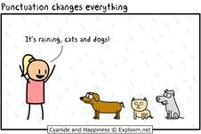 Punctuation Cartoon: It's raining, cats and dogs!