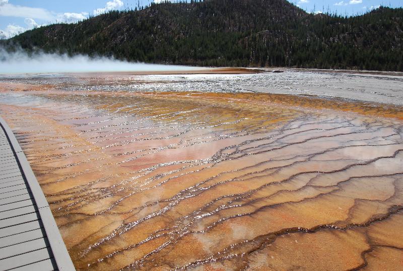 Hot Spring in Yellowstone National Park